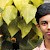 Savad Chelakkal