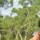 Vignesh G