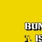 College Bunkers