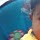 Shree Harnish