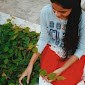 Pushpa Lakshmi