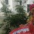 Dhongade Sapna
