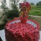 Dhongade Sapna