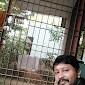sankar narayanan