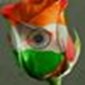 Dinesh Sahu