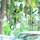 vinay s