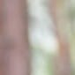 Doguparthi Venkata Nagaraju