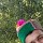 Bheem Pailoss