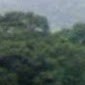 sagar bhise
