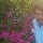 khushi ram