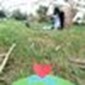 Lalit K