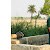 Ashminder Singh