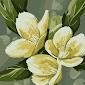 Susie Tapley