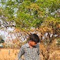 Avinash Reddy Ail