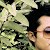 daljit thangjam