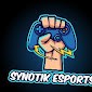 SYNOTIK ESPORTS