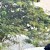 Srikanth mj