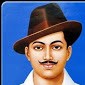 Anshu Bunkar