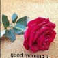Shaan Bhardwaj