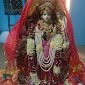 Asha Grover