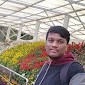 Afridi Syed