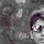VIDHIN JACOB Cherian
