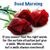 Bhavani Srikanth