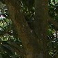 Joydeep Dutta