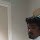ashok sap