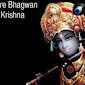 Vickey Mahawar