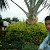 shahzad awan