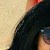 Nisha Chathoth
