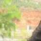 Lakshmi kanth