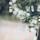 R Deepa