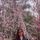 Namratha H