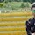 Sawan Thakur