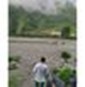 Dhananjay K Singh