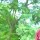 Nagi Reddy