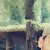 ravi rathod