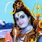 Vidhaan .z