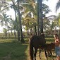 aventuras de Arthur 