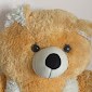 Mohan 